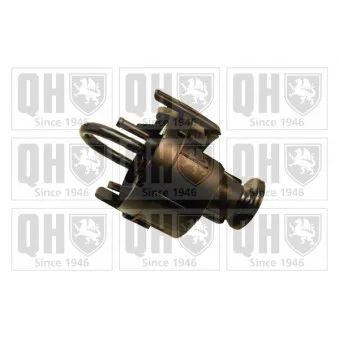 QUINTON HAZELL QFP743 - Unité d'injection de carburant
