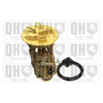 Unité d'injection de carburant QUINTON HAZELL OEM 16146768488