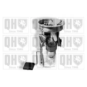 Unité d'injection de carburant QUINTON HAZELL OEM 16146758735