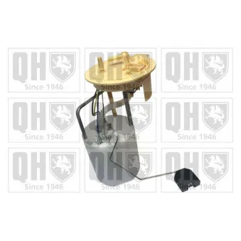 Unité d'injection de carburant QUINTON HAZELL OEM 3c0919050aa