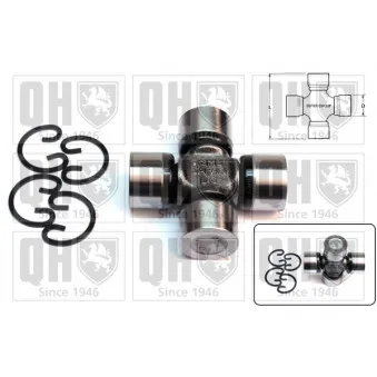 Croisillon, satellite-différentiel QUINTON HAZELL OEM 2720083010