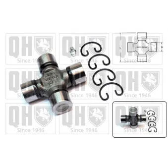 Croisillon, satellite-différentiel QUINTON HAZELL OEM MR196838