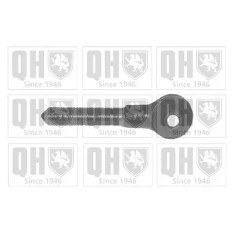 Oeil de levier, barre de connexion QUINTON HAZELL OEM 861419826A