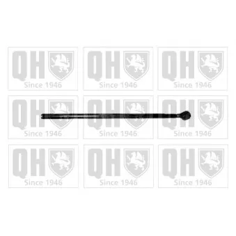 Oeil de levier, barre de connexion QUINTON HAZELL QR5007S