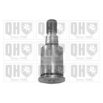 Rotule de suspension QUINTON HAZELL OEM 133101