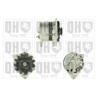 Alternateur QUINTON HAZELL OEM 443113516