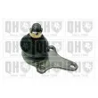 Rotule de suspension QUINTON HAZELL [QSJ1242S]