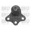 QUINTON HAZELL QSJ3304S - Rotule de suspension