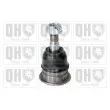 QUINTON HAZELL QSJ3568S - Rotule de suspension