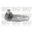 QUINTON HAZELL QSJ3573S - Rotule de suspension