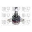 QUINTON HAZELL QSJ3589S - Rotule de suspension