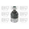 QUINTON HAZELL QSJ3655S - Rotule de suspension
