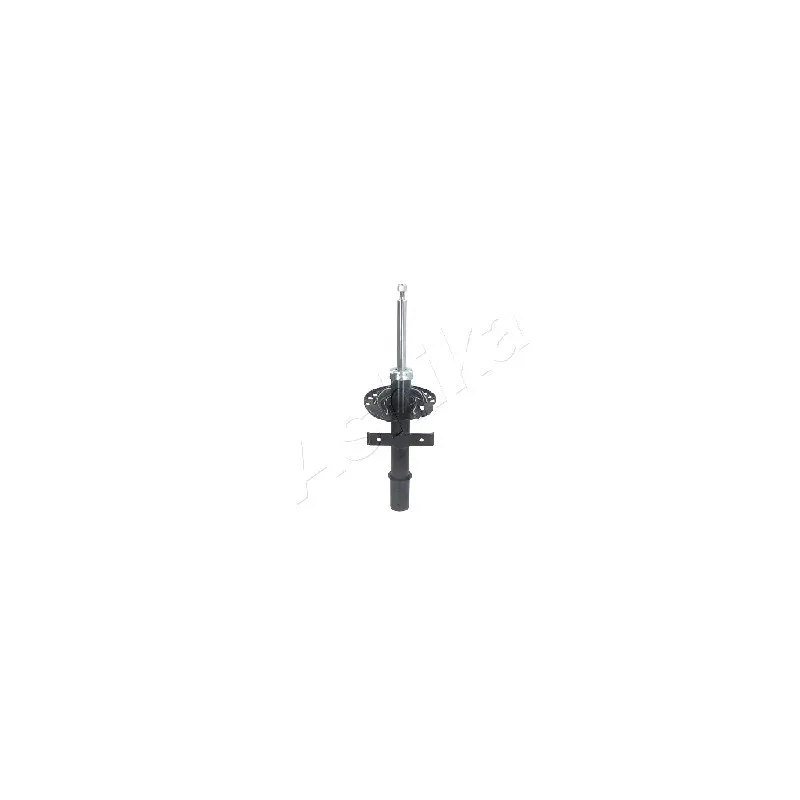 Amortisseurs avant pour RENAULT CLIO III 1,2 16V 75cv