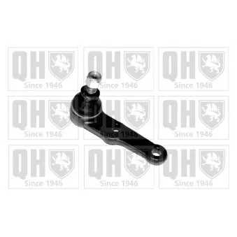 QUINTON HAZELL QSJ930S - Rotule de suspension