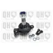 QUINTON HAZELL QSJ975S - Rotule de suspension