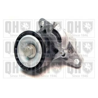 Tendeur de courroie, courroie trapézoïdale à nervures QUINTON HAZELL OEM 1192500QAL