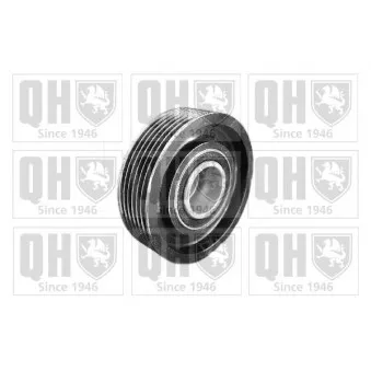 Poulie renvoi/transmission, courroie trapézoïdale à nervures QUINTON HAZELL OEM 7700864573