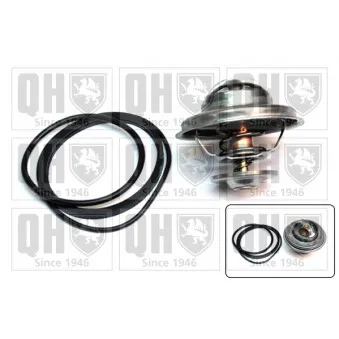 Thermostat d'eau QUINTON HAZELL OEM 11531743528