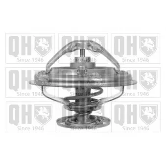 QUINTON HAZELL QTH511K - Thermostat d'eau