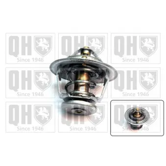 Thermostat d'eau QUINTON HAZELL OEM 2120053J00