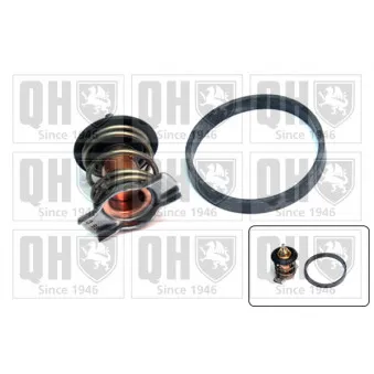 Thermostat d'eau QUINTON HAZELL QTH900K