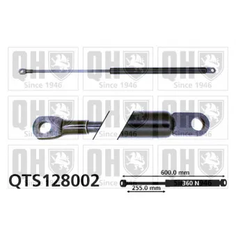 QUINTON HAZELL QTS128002 - Vérin de hayon, de coffre