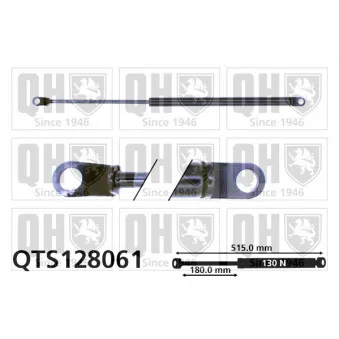Vérin de hayon, de coffre QUINTON HAZELL QTS128061 pour NISSAN PATROL 3.3 D - 95cv