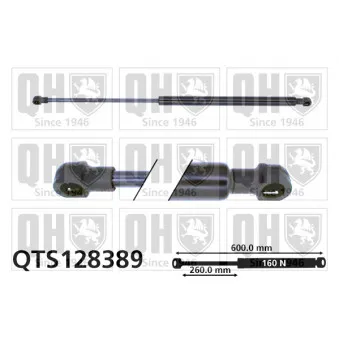 Vérin de hayon, de coffre QUINTON HAZELL QTS128389 pour LANCIA Y10 1.0 Fire Traction intégrale - 50cv