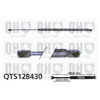 QUINTON HAZELL QTS128430 - Vérin de hayon, de coffre
