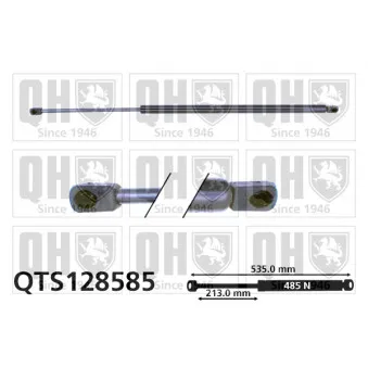 QUINTON HAZELL QTS128585 - Vérin de hayon, de coffre