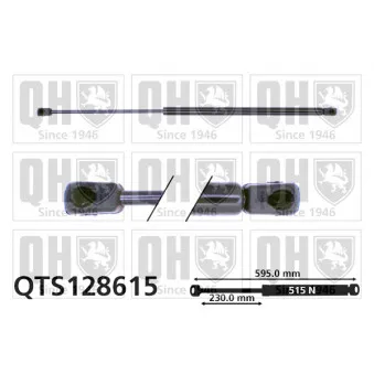 Vérin de hayon, de coffre QUINTON HAZELL QTS128615 pour RENAULT SCENIC 1.9 dT - 94cv