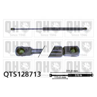 Vérin de hayon, de coffre QUINTON HAZELL QTS128713 pour AUDI A4 RS4 quattro - 420cv