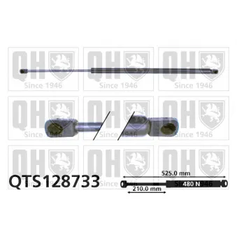 QUINTON HAZELL QTS128733 - Vérin, capot-moteur