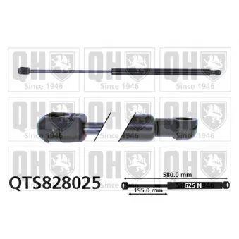 QUINTON HAZELL QTS828025 - Vérin de hayon, de coffre