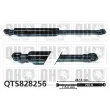 QUINTON HAZELL QTS828256 - Vérin