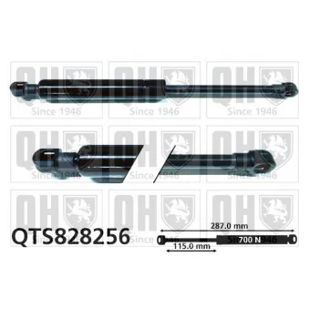 Vérin QUINTON HAZELL OEM 8731H2