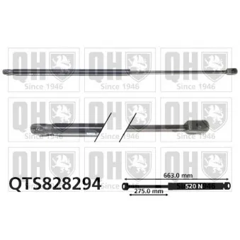 Vérin de hayon, de coffre QUINTON HAZELL QTS828294 pour RENAULT WIND 1.6 - 133cv