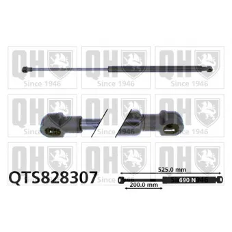 Vérin QUINTON HAZELL OEM 8200665709