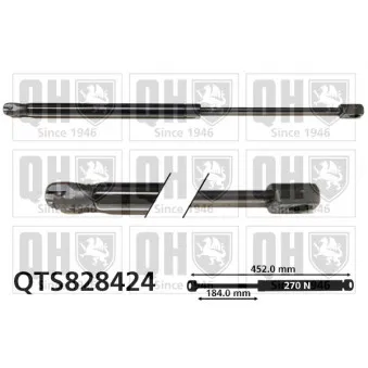 Vérin de hayon, de coffre QUINTON HAZELL QTS828424