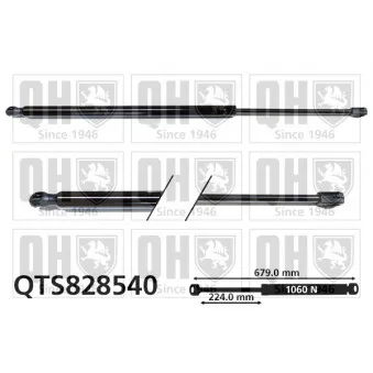 Vérin de hayon, de coffre QUINTON HAZELL QTS828540 pour MERCEDES-BENZ CLASSE V V 220 CDI / d - 163cv