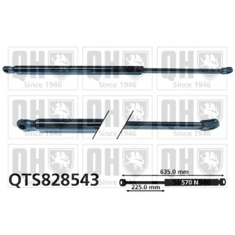 Vérin de hayon, de coffre QUINTON HAZELL QTS828543 pour JEEP CHEROKEE 2.2 CRD 4x4 - 185cv
