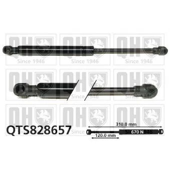 Ressort pneumatique, porte QUINTON HAZELL QTS828657 pour RENAULT TWIZY 80 - 18cv
