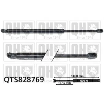 Vérin de hayon, de coffre QUINTON HAZELL QTS828769 pour JEEP COMPASS 1.6 CRD - 120cv