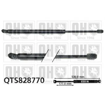 Vérin de hayon, de coffre QUINTON HAZELL QTS828770