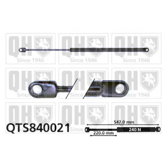 QUINTON HAZELL QTS840021 - Vérin, capot-moteur