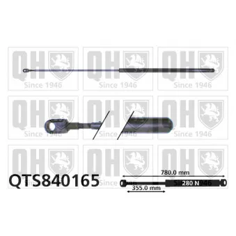 QUINTON HAZELL QTS840165 - Vérin, capot-moteur