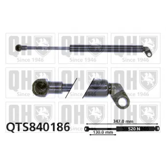 QUINTON HAZELL QTS840186 - Vérin de hayon, de coffre