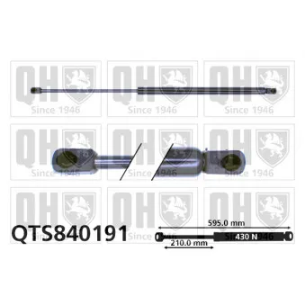 Vérin de hayon, de coffre QUINTON HAZELL OEM 51242491349