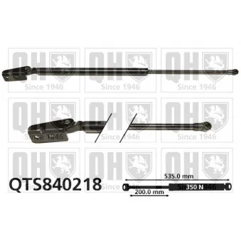 QUINTON HAZELL QTS840218 - Vérin de hayon, de coffre