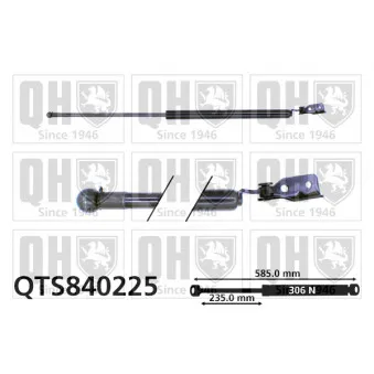 Vérin de hayon, de coffre QUINTON HAZELL QTS840225 pour MAZDA 323 1.6 - 98cv